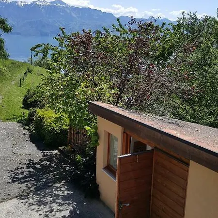 Welcome To Lavaux * グランヴォー